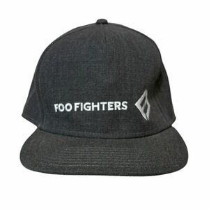 Foo Fighters Gray Snapback Hat Embroidered Logo Adjustable Cap